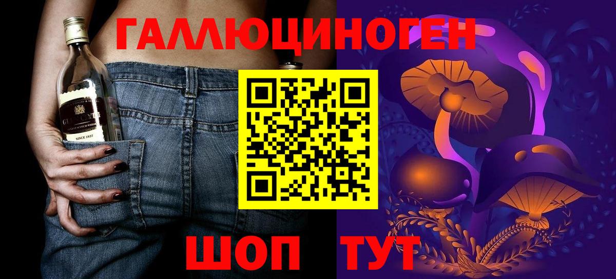 Сибай  Псилоцибиновые грибы прущие грибы  Вход с VPN  сколько стоит  Галлюциногенные грибы Psilocybe 